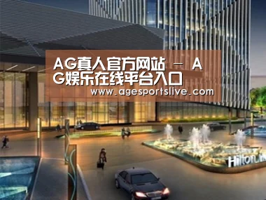 案例展示二